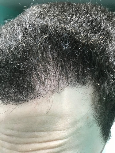 Hair%2051%2010-6-19